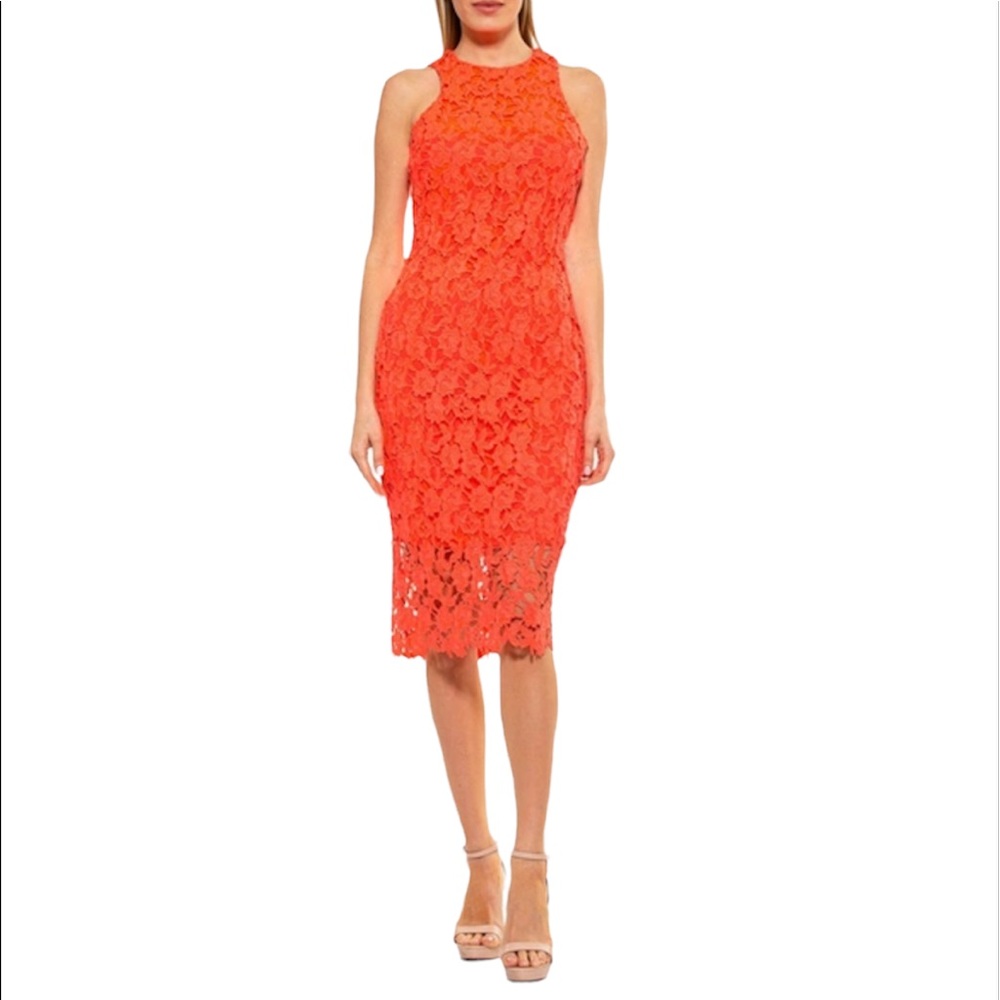 NWT Alexia Admor Coral Lace Sheath Dress Size XL